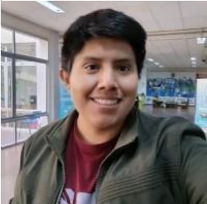 Diego Domínguez Solís